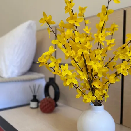 Apartament Dayanas Varna