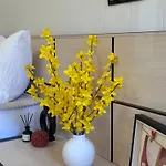 Dayanas Varna