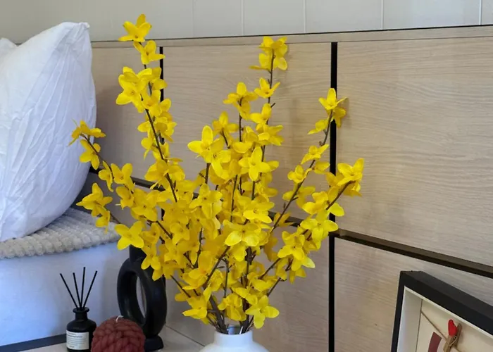 Dayanas ヴァルナ